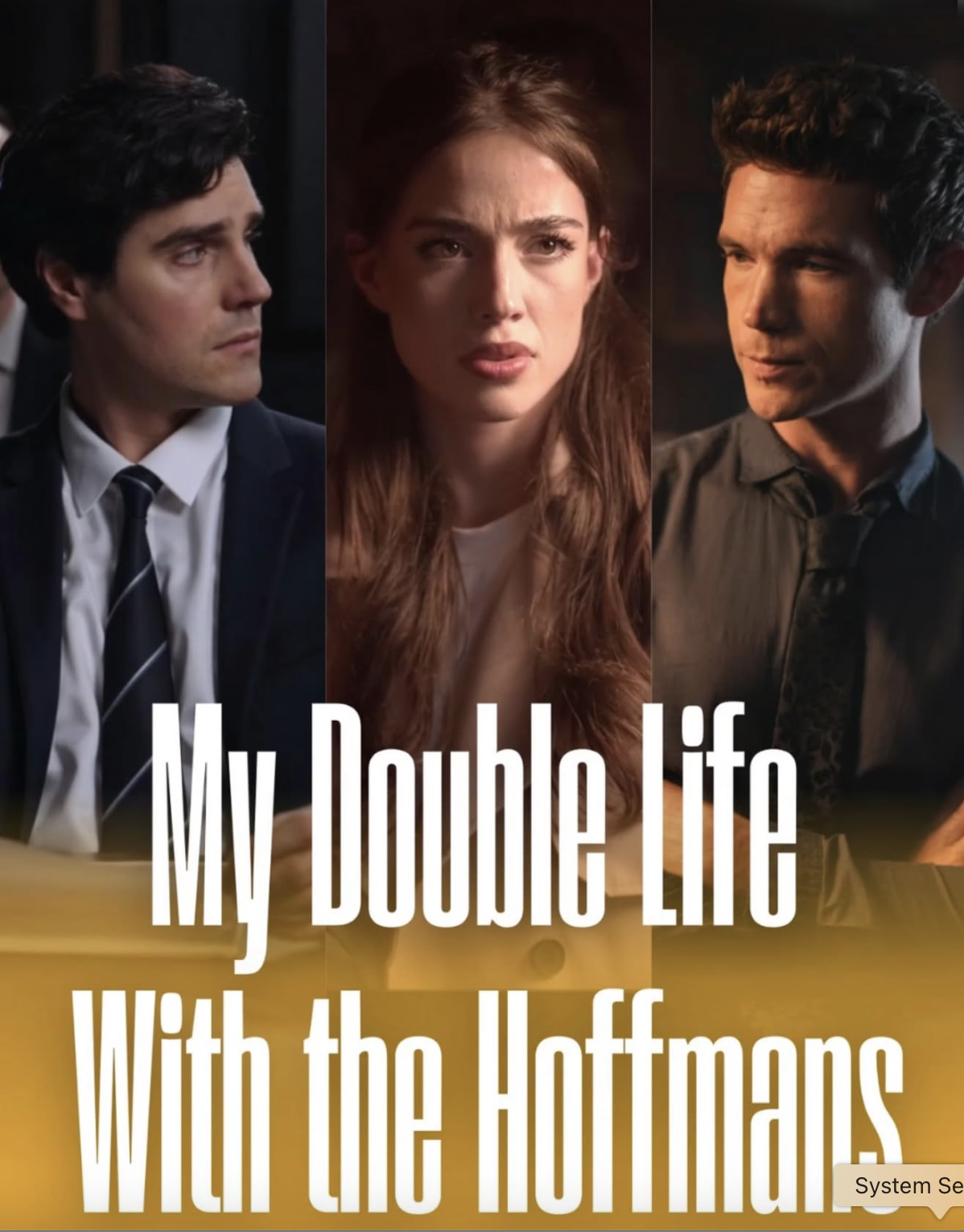 Poster for My Double Life with the Hoffmans